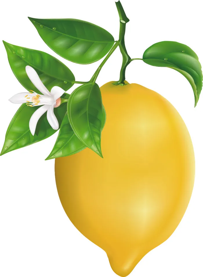 矢量卡通免抠柠檬