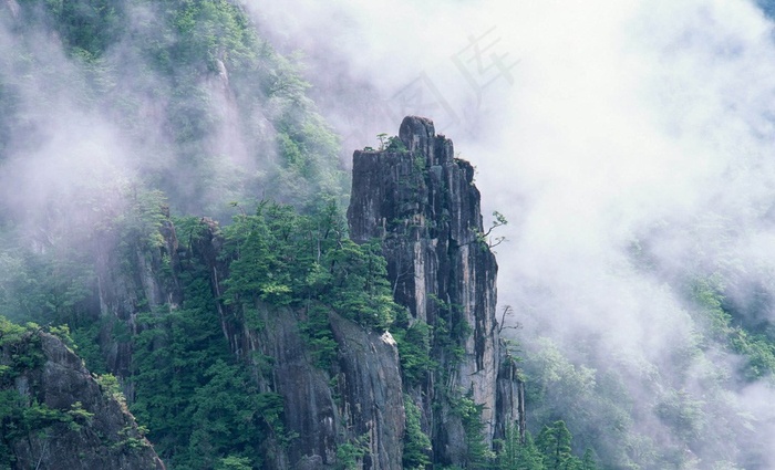 云雾缭绕的山峰上的迎客松