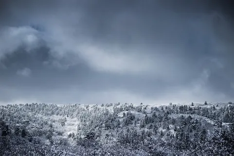 冬天自然背景风景 冬天自然背景风景