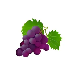 葡萄水果免抠
