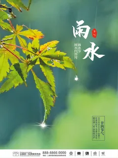 创意24节日二十四节气雨水春节春天宣传祝福海报模板PSD设计素材