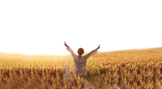 欢呼农业现代农业