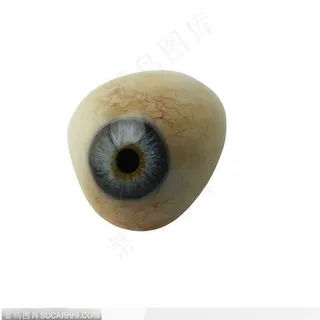 眼球模型