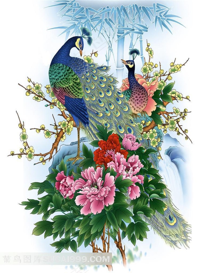 中国风牡丹孔雀花鸟图片