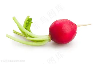 新鲜蔬菜红萝卜高清图片