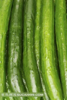 新鲜黄瓜高清大图