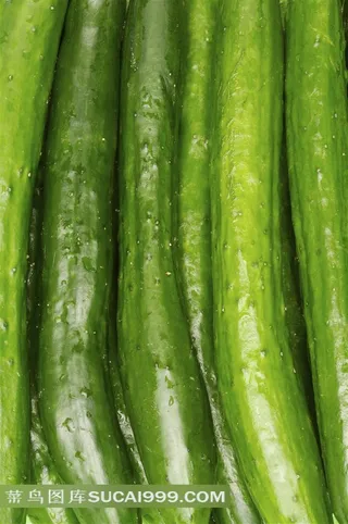新鲜黄瓜高清大图