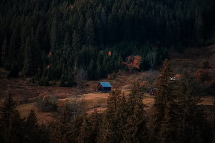 林中的小屋