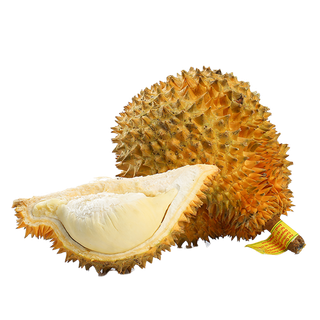 64榴莲 (3)水果超市商品白底图免抠实物摄影png格式图片透明底