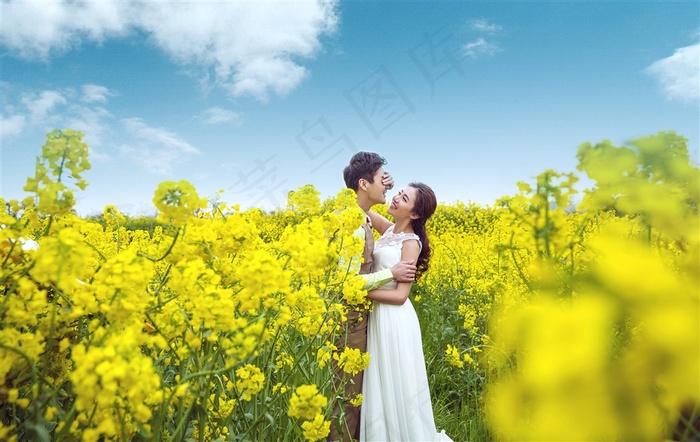 油菜花海中的拥抱的情侣