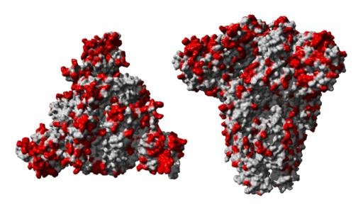 冠状病毒 PNG免抠(680x388)