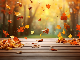 秋天的落叶落在了公园的长椅上摄影图