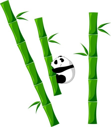 竹子 PNG免抠(632x720)