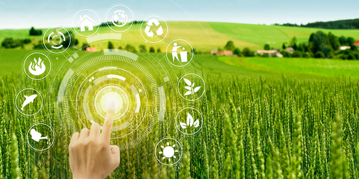 景色绿色农业发展展板背景