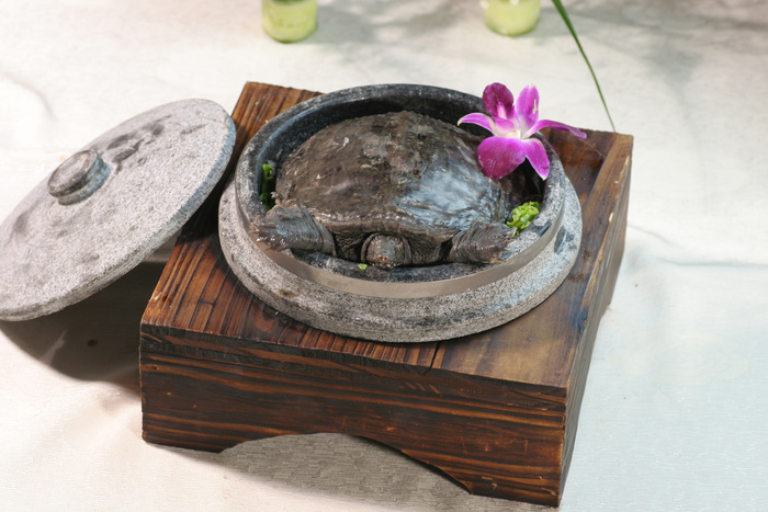 31石锅甲鱼 珠江生活