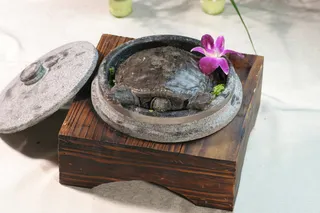 31石锅甲鱼 珠江生活