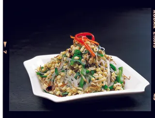 LCSC2084炝拌小豆芽16