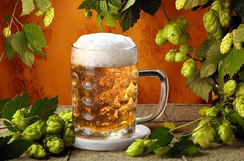 啤酒水果摄影jpg素材