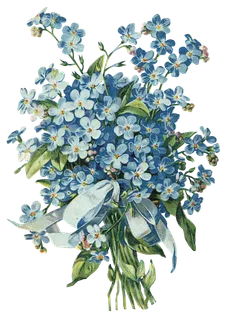 古典花卉png免扣素材