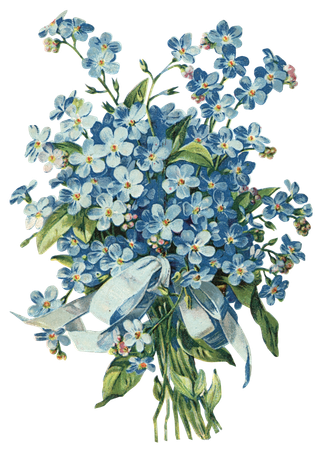 古典花卉png免扣素材