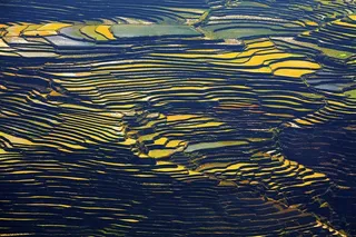 云南元阳梯田风景素材图