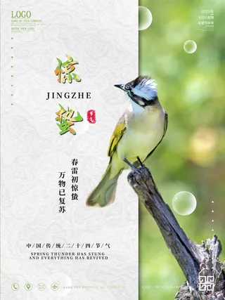 24二十四节气中国风创意惊蛰节日宣传海报模板PSD设计素材