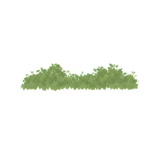 草丛免抠(2048x2048)