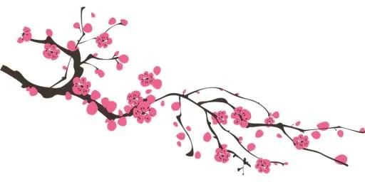樱花 PNG免抠(960x480)