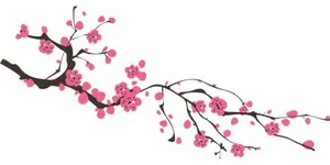 樱花 PNG免抠