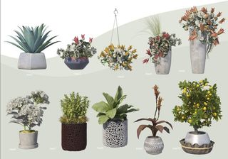 绿叶盆栽花盆绿植PSD大全合-1