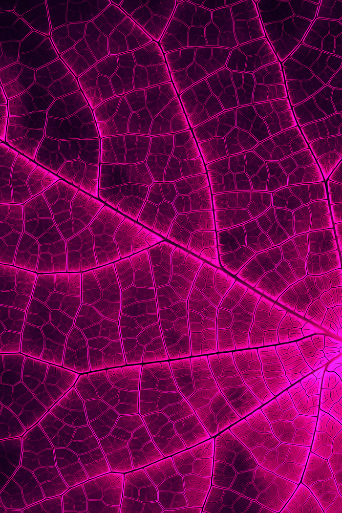 自然天然抽象艺术背景