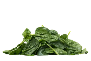 菠菜超市商品白底图免抠实物摄影png格式图片透明底