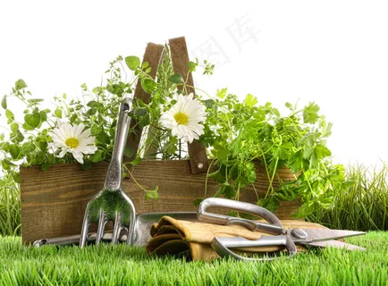 白色背景前园丁用具 白色背景前园丁用具