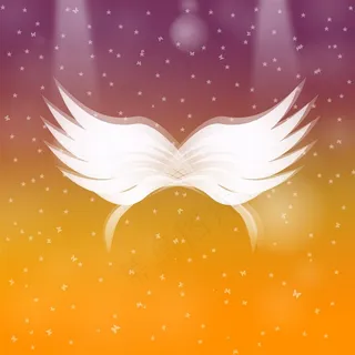 洁白天使翅膀