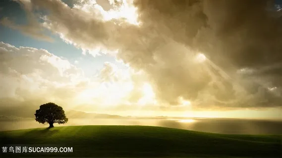 唯美草地风景画壁纸