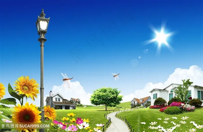 草地街道美景韩式自然背景