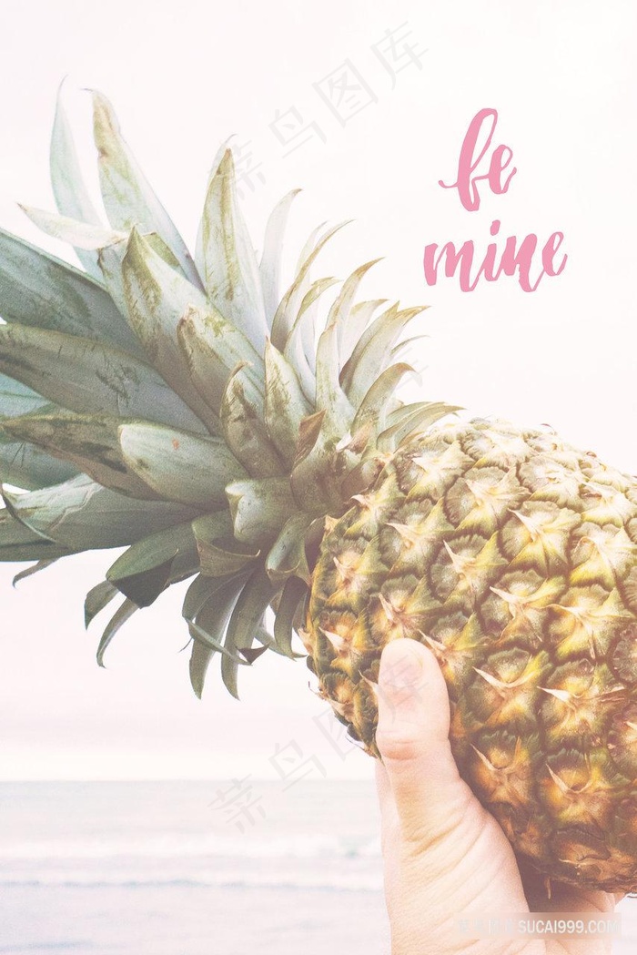 唯美菠萝时尚艺术插画