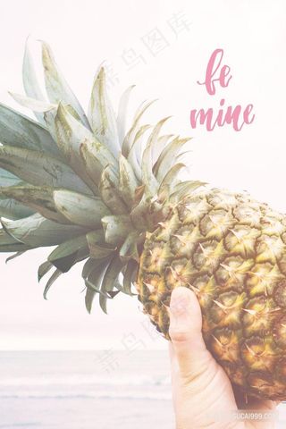 唯美菠萝时尚艺术插画