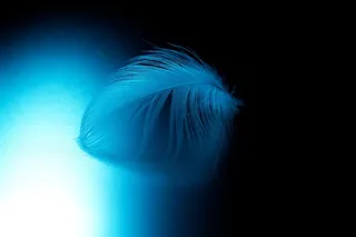 唯美羽毛背景图片