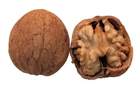 核桃 PNG免抠(450x300)