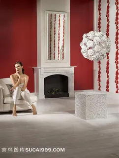 欧美室内效果图美女