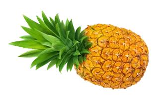 菠萝 (8)水果超市商品白底图免抠实物摄影png格式图片透明底