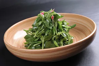 LCSC2505生拌田七