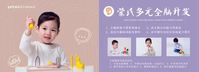 蒙氏多元全脑开发cdr矢量模版下载