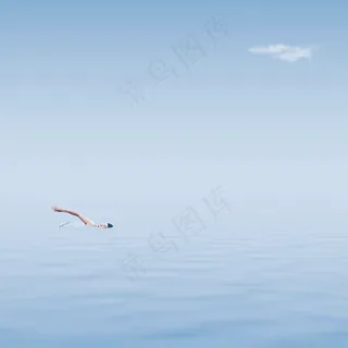 大海游泳图片