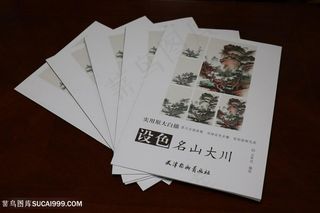 王军河编绘《设色名山大川》