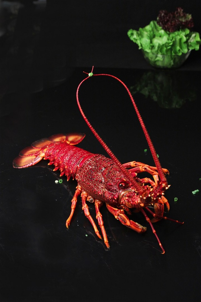 龙虾特写美食海鲜图片