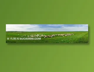 呼伦贝尔草原牧场摄影