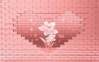 网红拍照背景墙