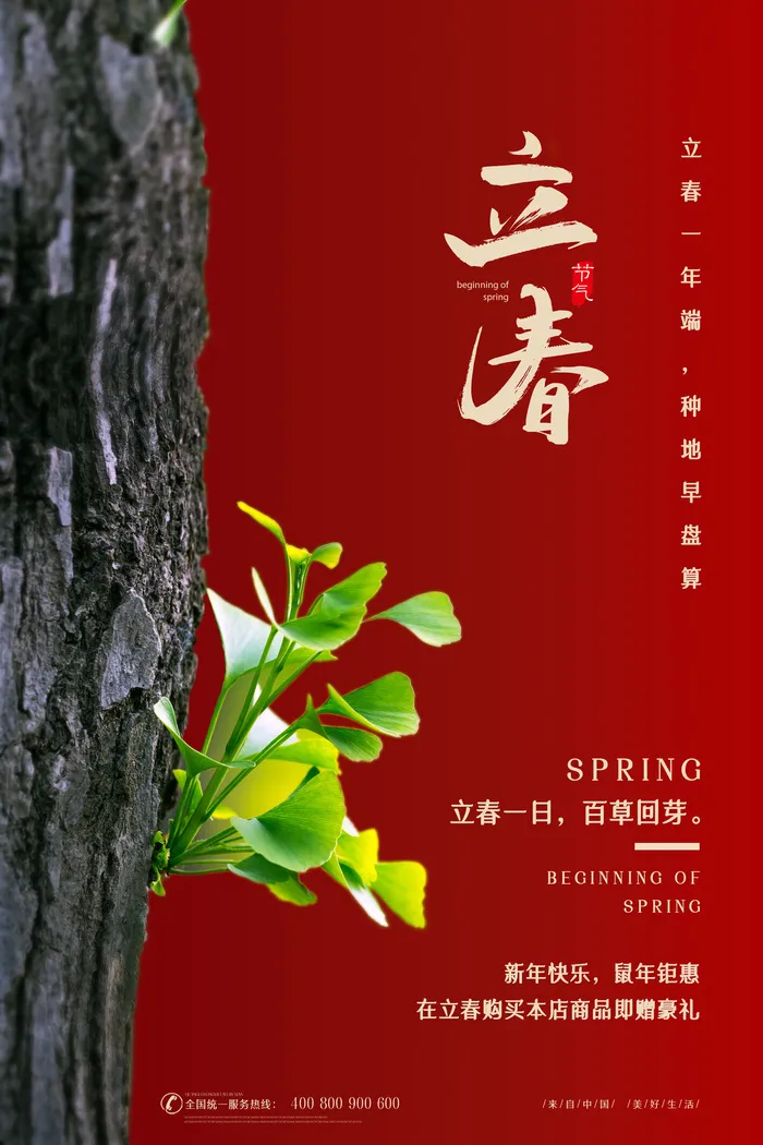 立春psd模版下载